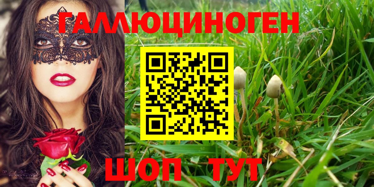 Галлюциногенные грибы Magic Shrooms Королёв